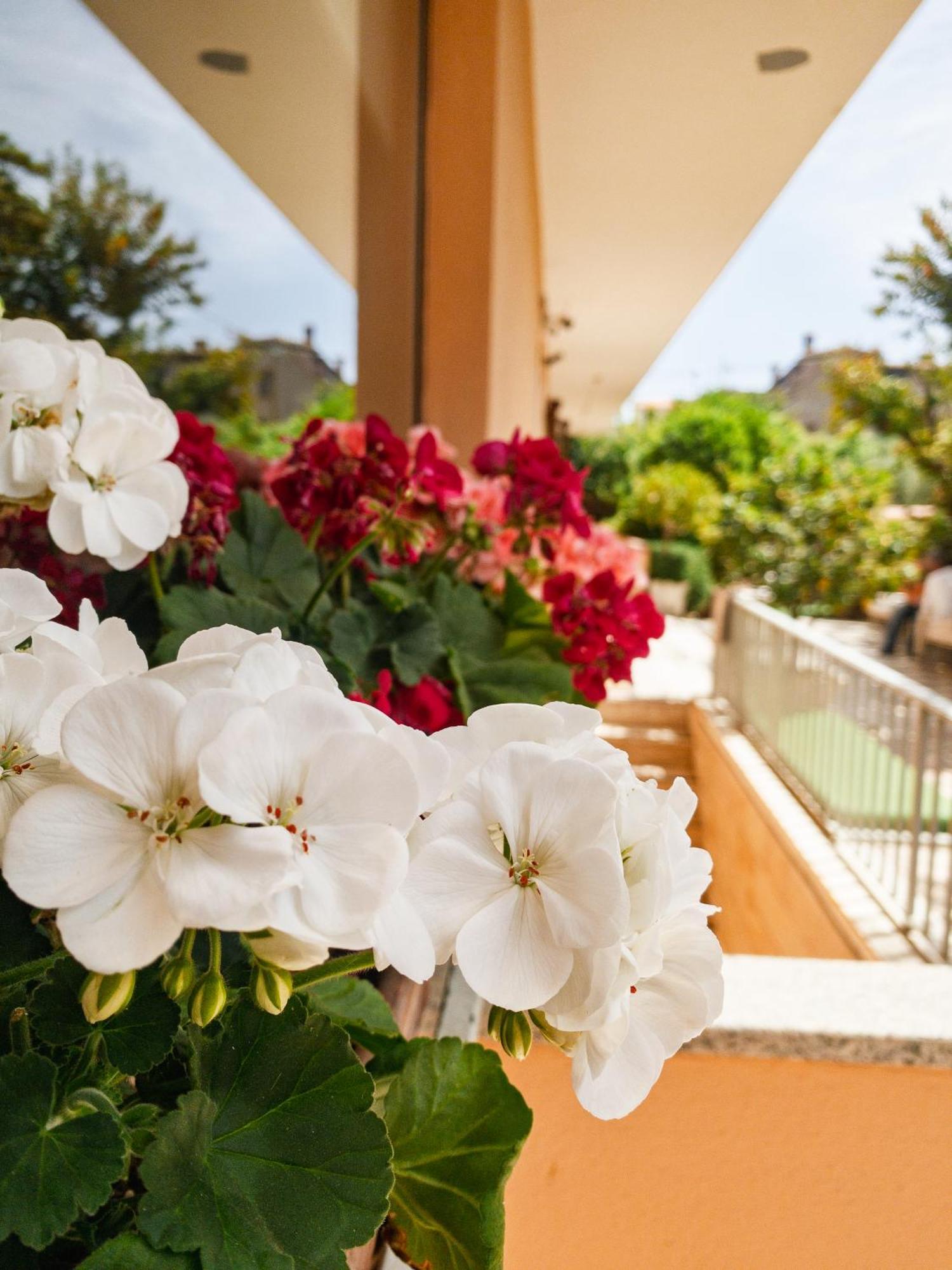Hotel Donatella Posada  Luaran gambar